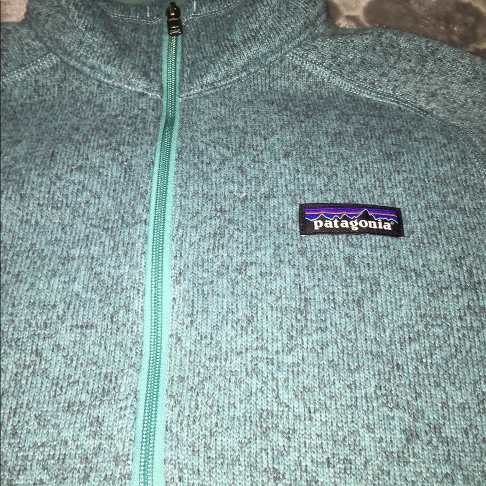 Patagonia Pullover